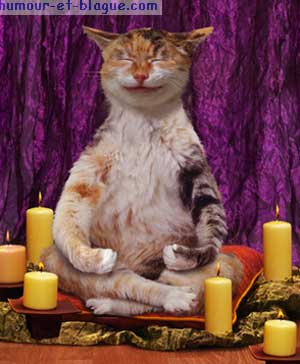 Chat boudha